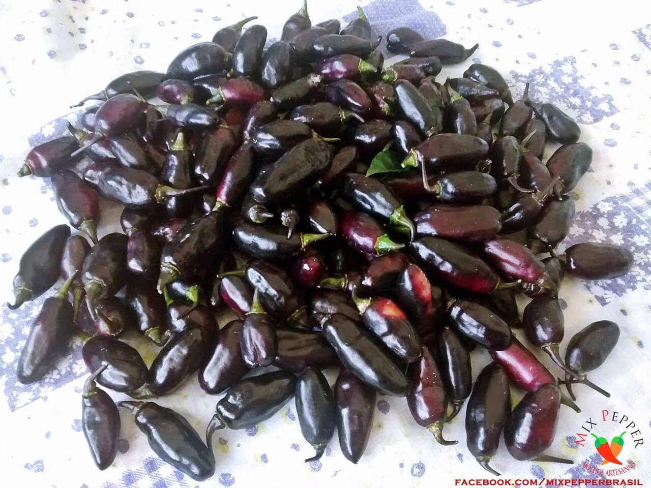 Pimenta da Neyde