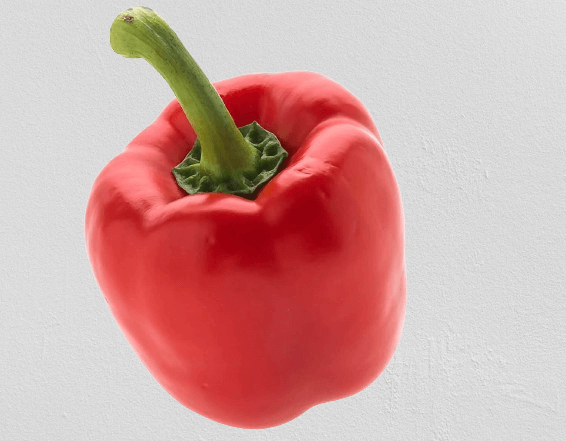 Rocoto