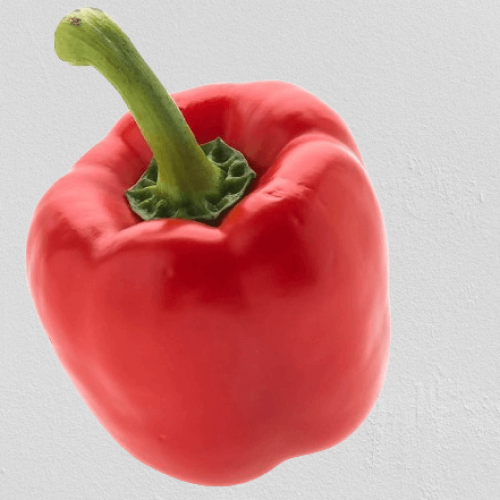 Rocoto